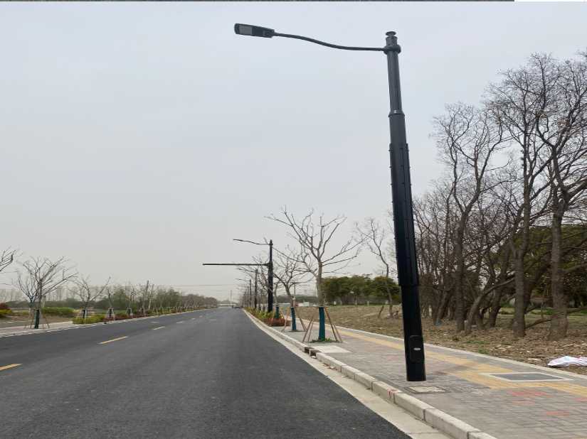 峨眉山市上海综合杆 太阳能路灯工程